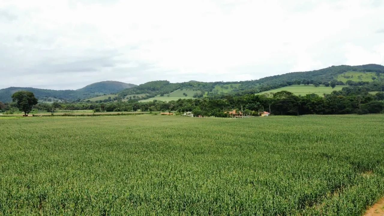 Chacaras em serra azul Mateus leme  - Foto 2