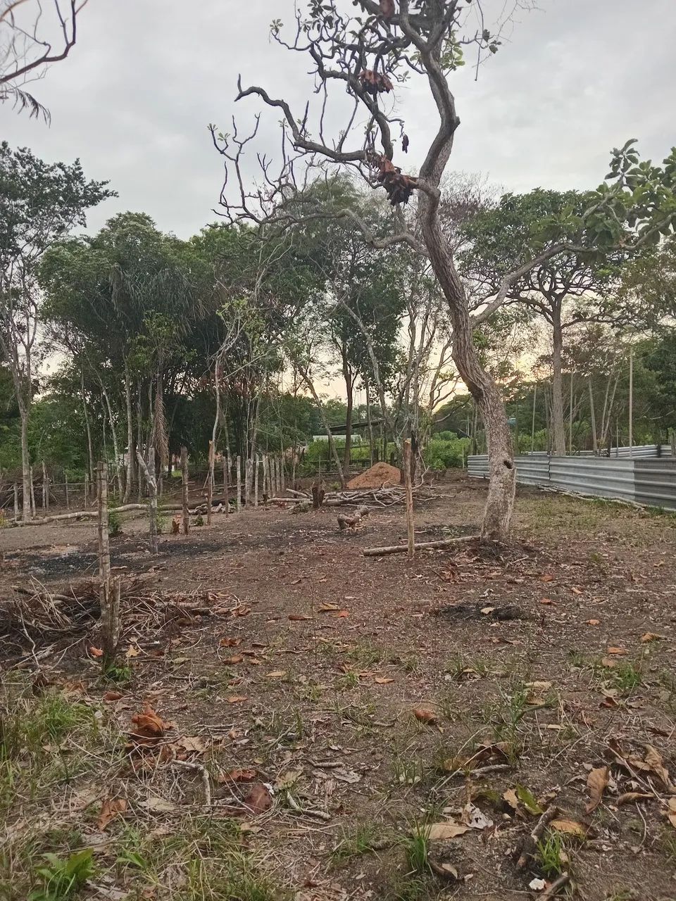 Terreno ilha mirin  - Foto 2