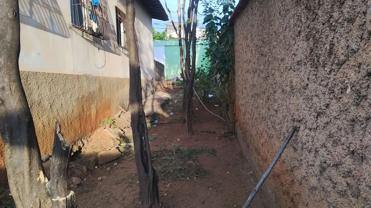 Limpeza de lotes  - Foto 5