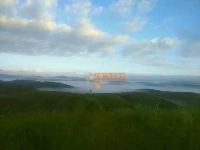 Área à venda, 5630000 m²- Em Cortês/PE - Foto 5