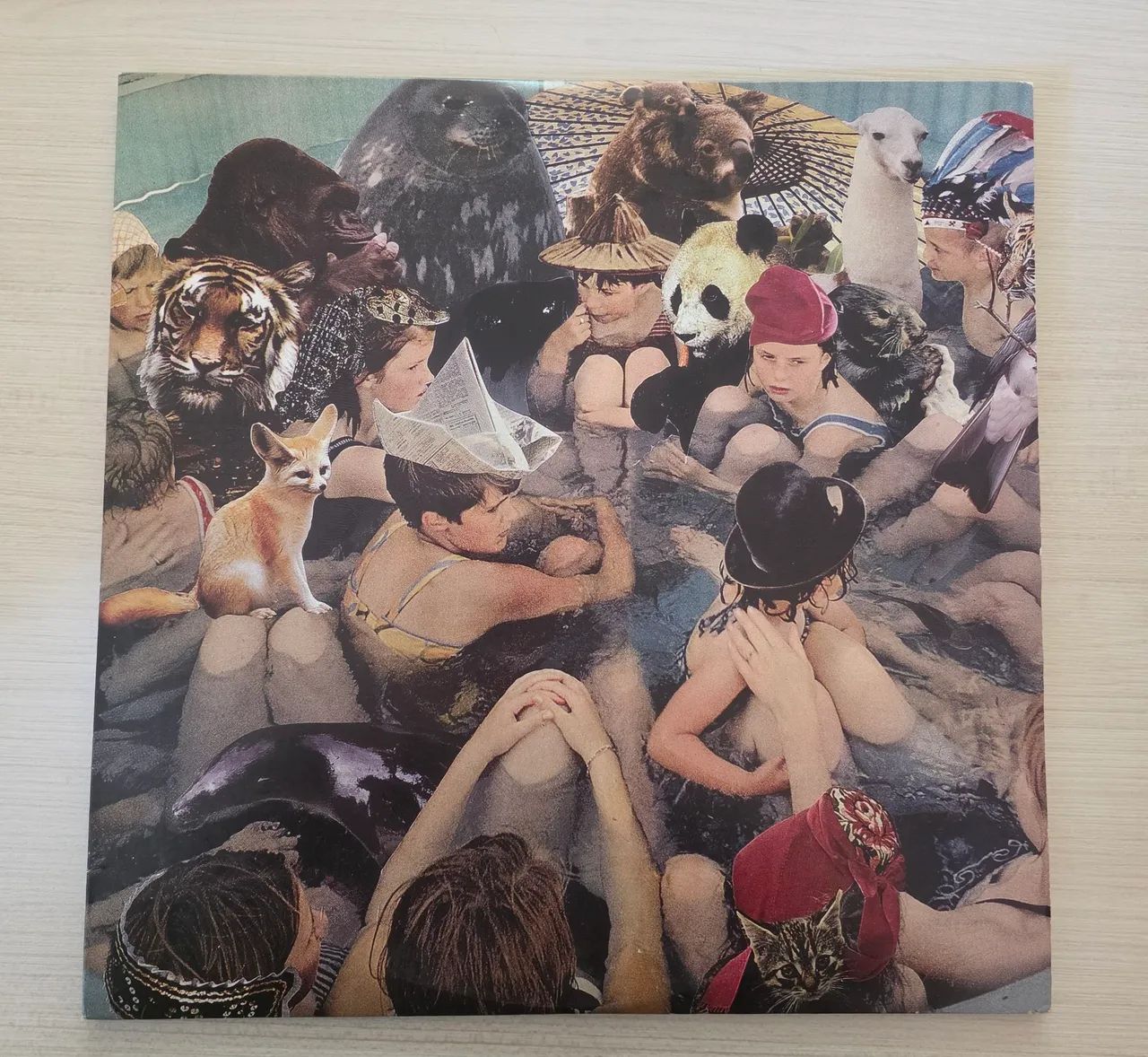 Vinil Duplo Panda Bear - Person Pitch