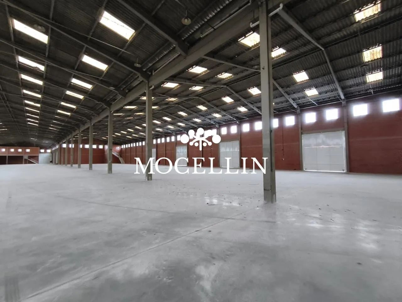 Barracão com 6.479m² para Locação em Araucária - Foto 5