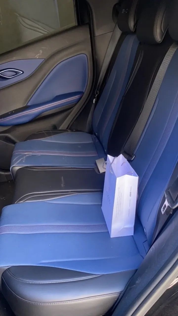 BYD Dolphin Mini (Elétrico) 2026 - Foto 4