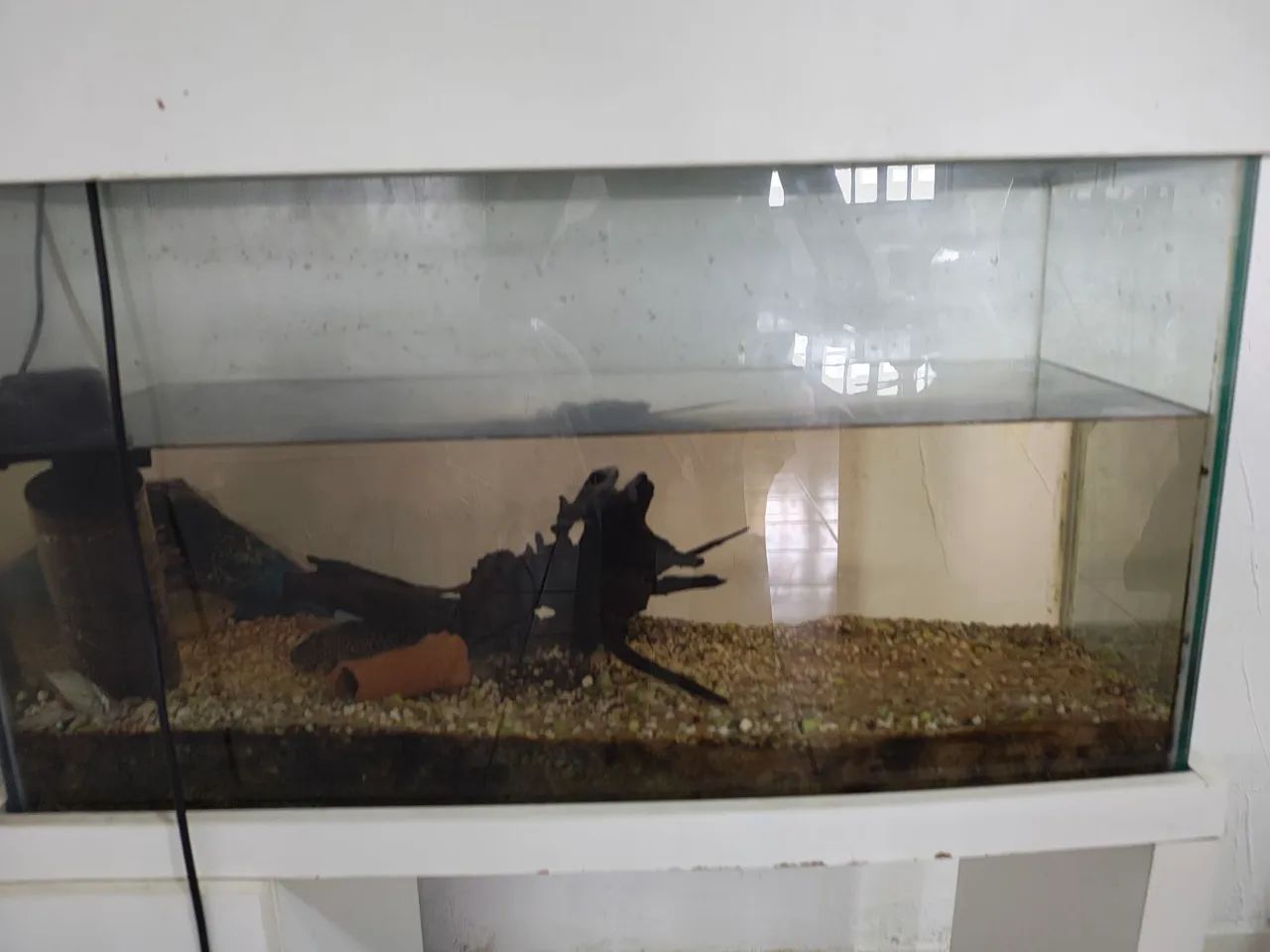 Aquario com apoio e bomba - Foto 2