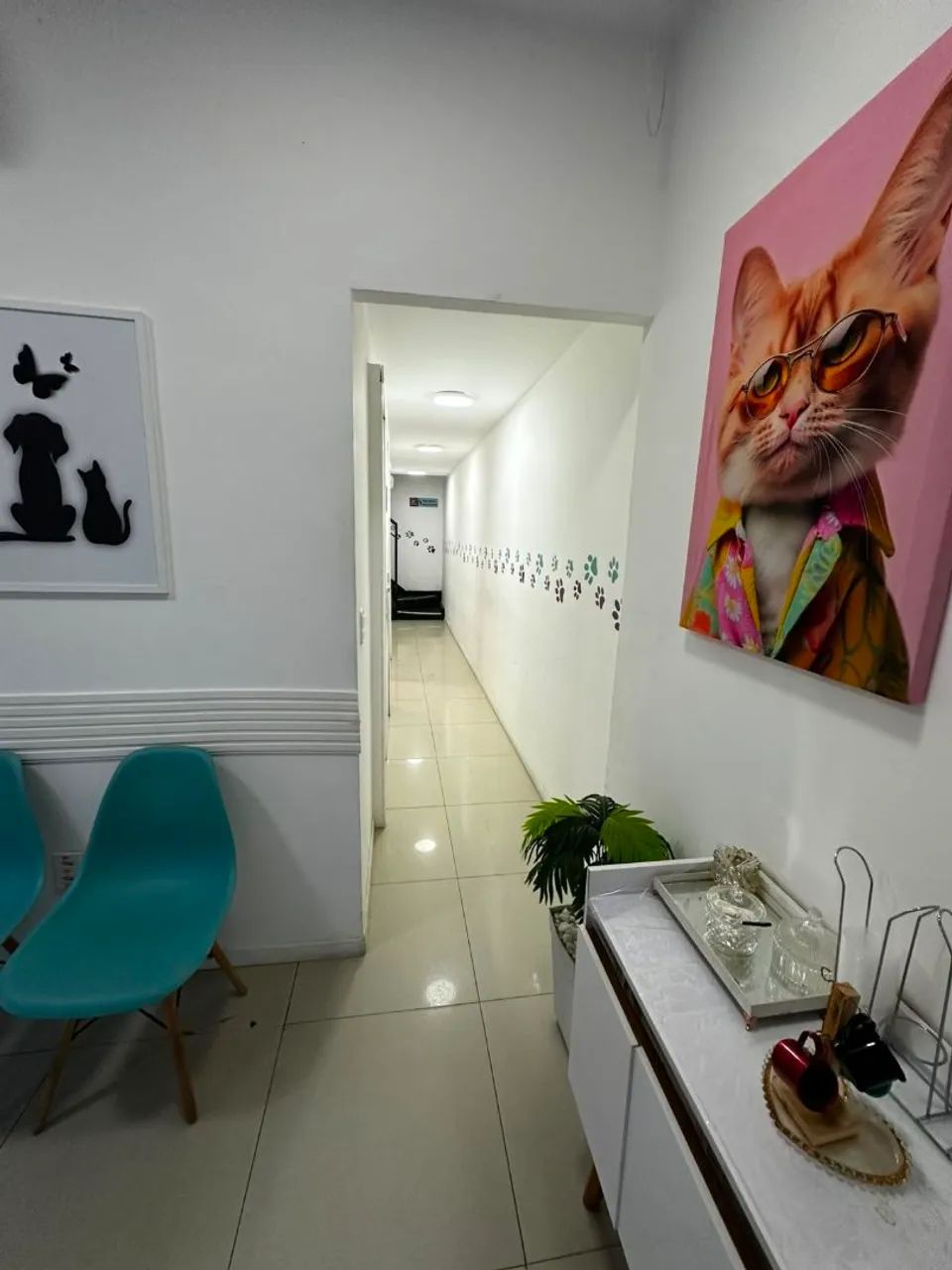 Passo Ponto Clínica Veterinária  - Foto 4