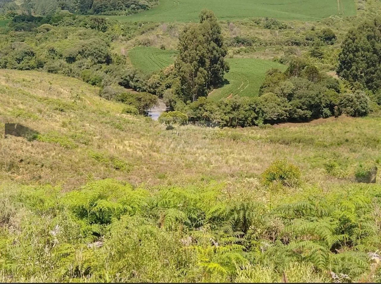 Terreno Rural - Caçador/SC  - Foto 3