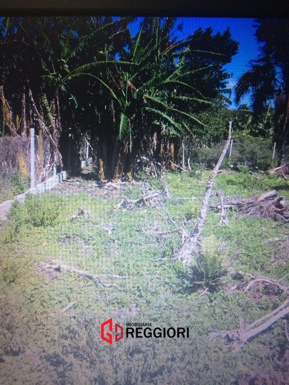 TERRENO C MATRICULA PLANO MORRO DAS PEDRAS FLORIPA - Foto 4