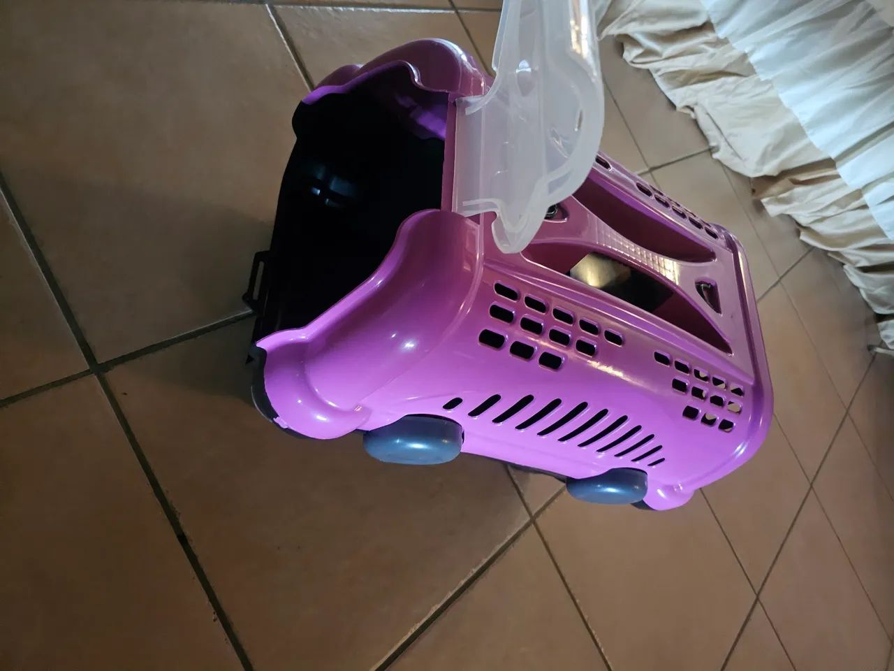 Caixa transporte pet - Foto 3