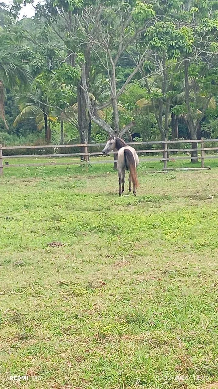 Vendo ou negocio - Foto 4