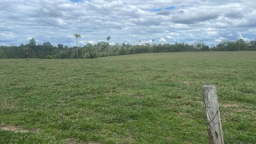 Linda Fazenda em Samaúma 350 ha - Foto 5