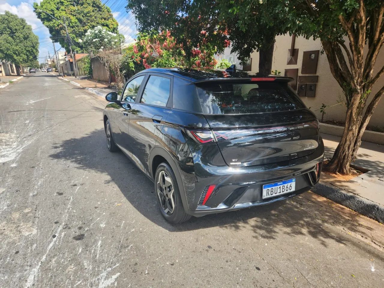 BYD Dolphin EV (Elétrico) 2024 - Foto 5