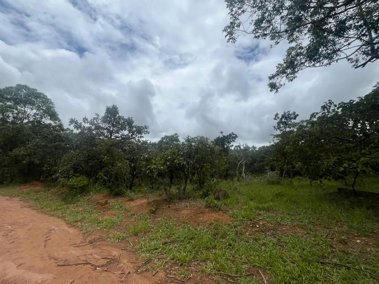 TERRENO EM ALEXÃNIA - Foto 5