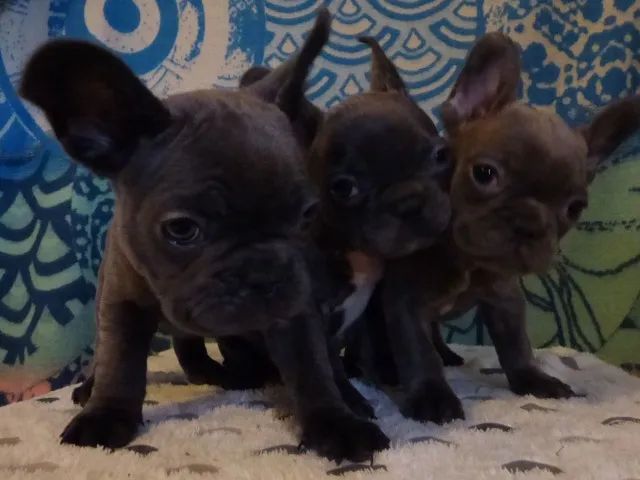 ? Quem ama cuida.