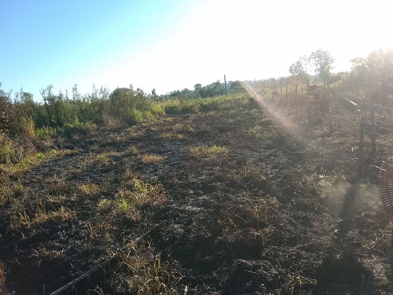 Vendo Terreno no ramal Santa Rosa  - Foto 2