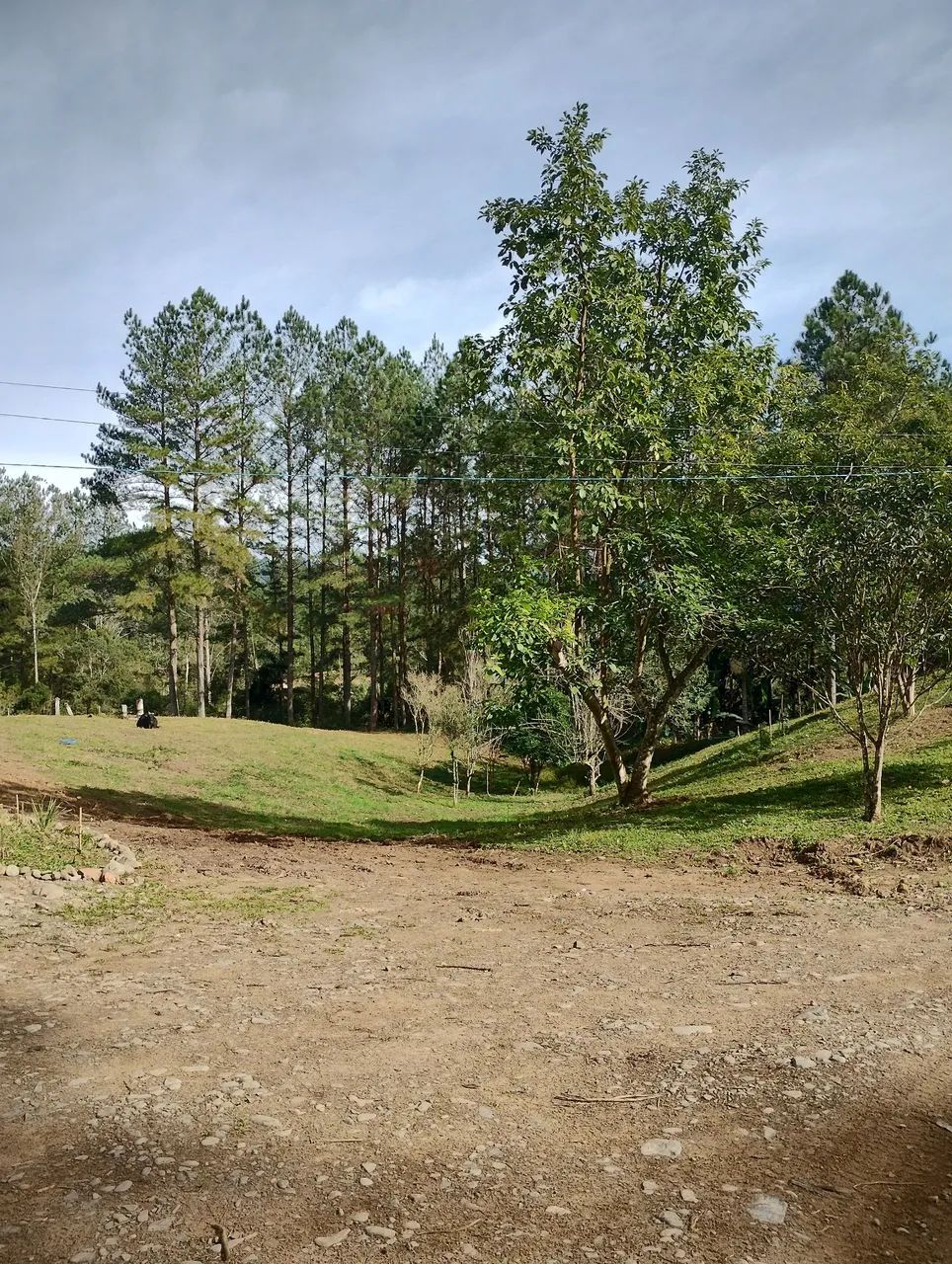 Vendo ou troco por casa na região  - Foto 4