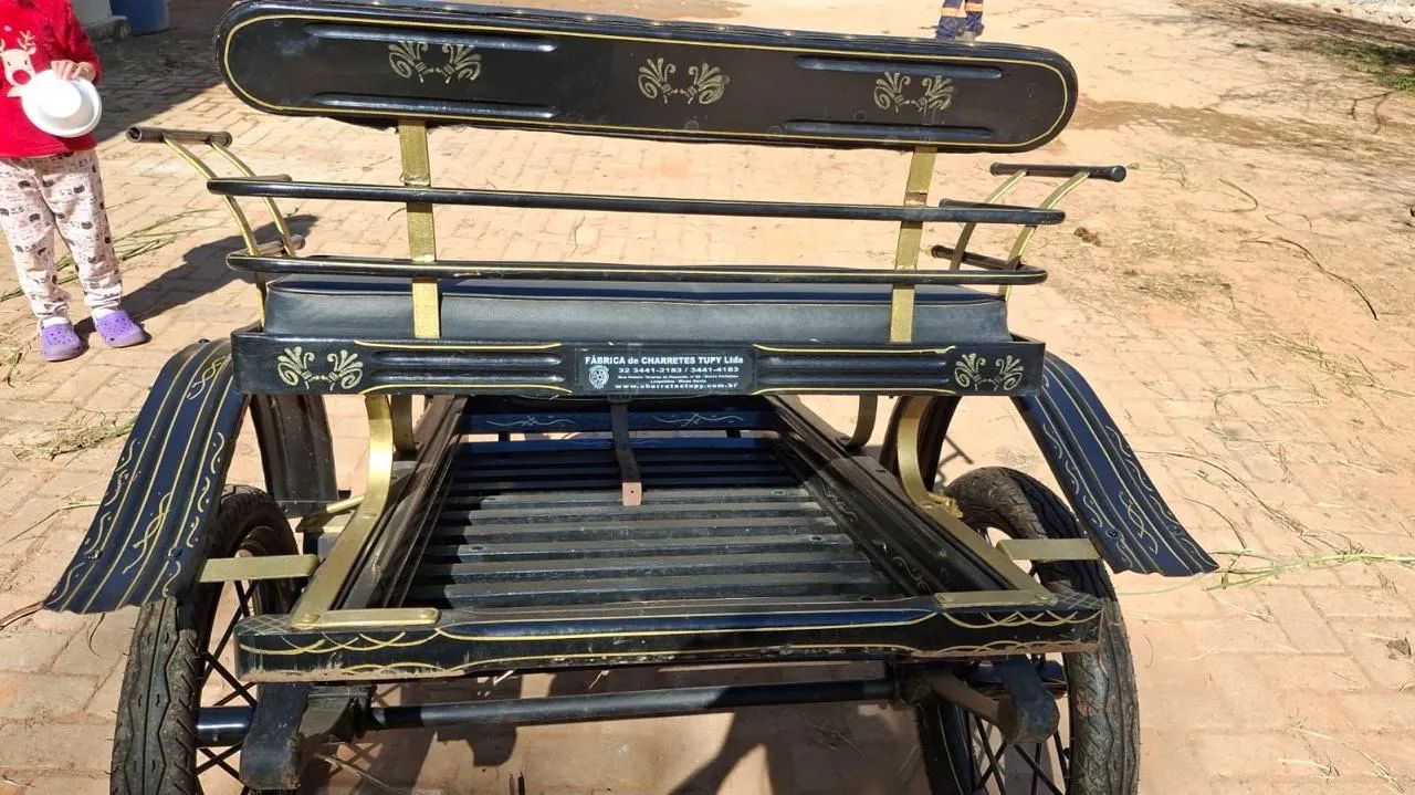 Vendo charrete para ponei - Foto 2
