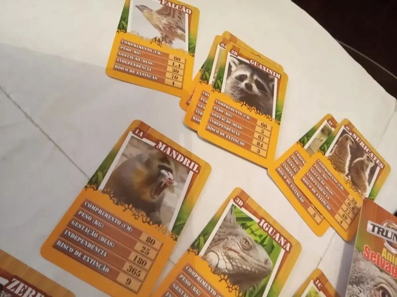 Jogo de Cartas Trunfo Animais Selvagens - Foto 2
