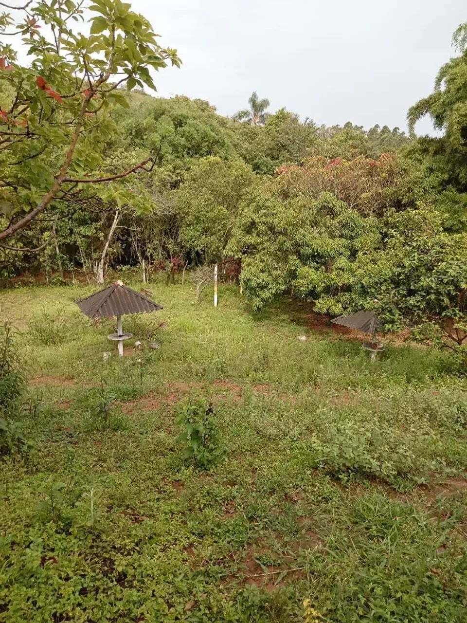 Pesqueiro a venda - Foto 2
