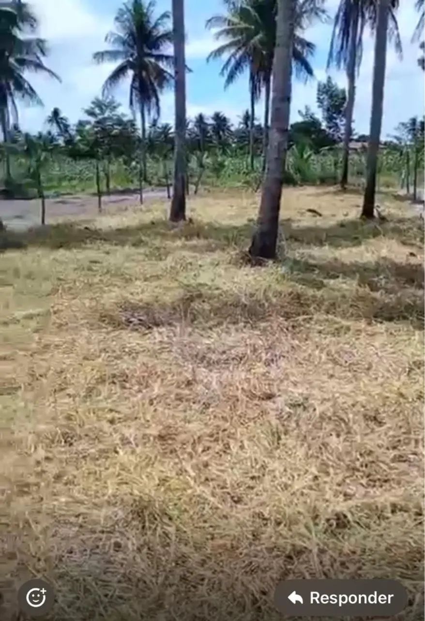 Terreno 