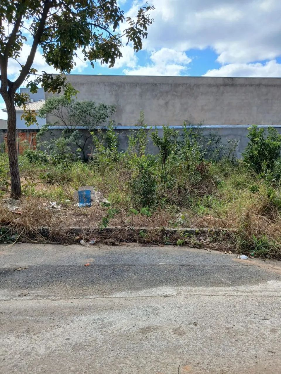 Lote - Foto 2