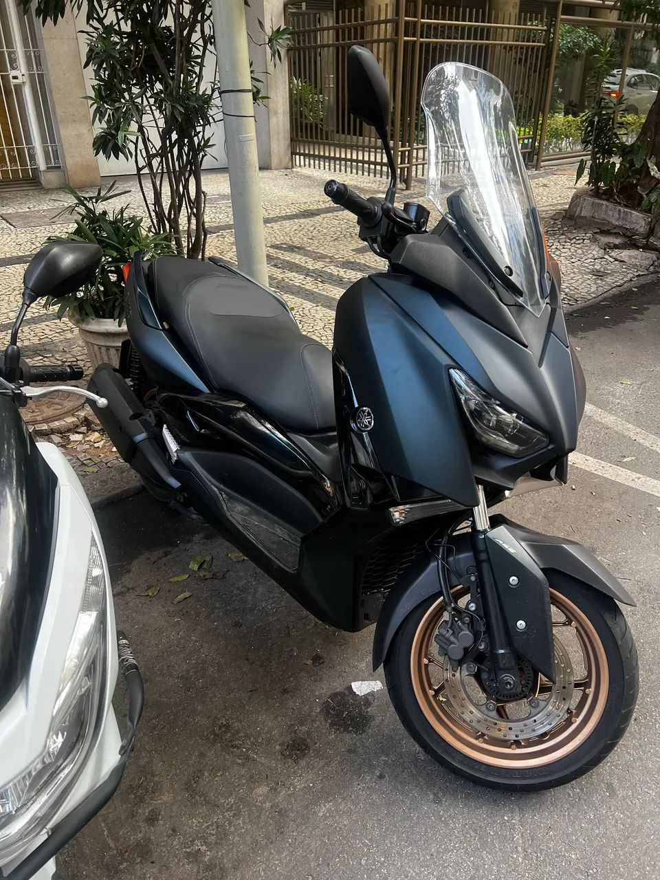 Xmax 250