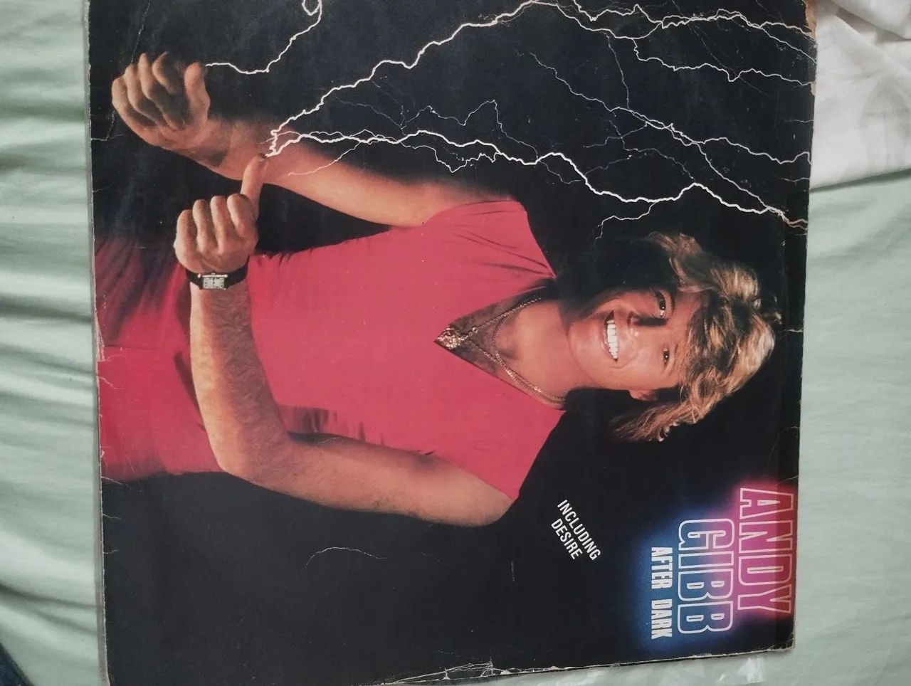 Vendo LP de ANDY GIBB 