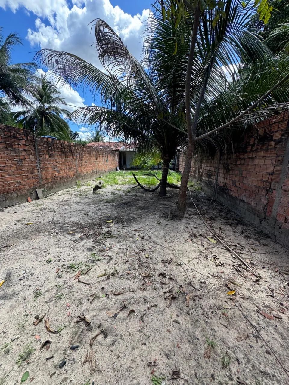Vende-se ou aluga-se  - Foto 3