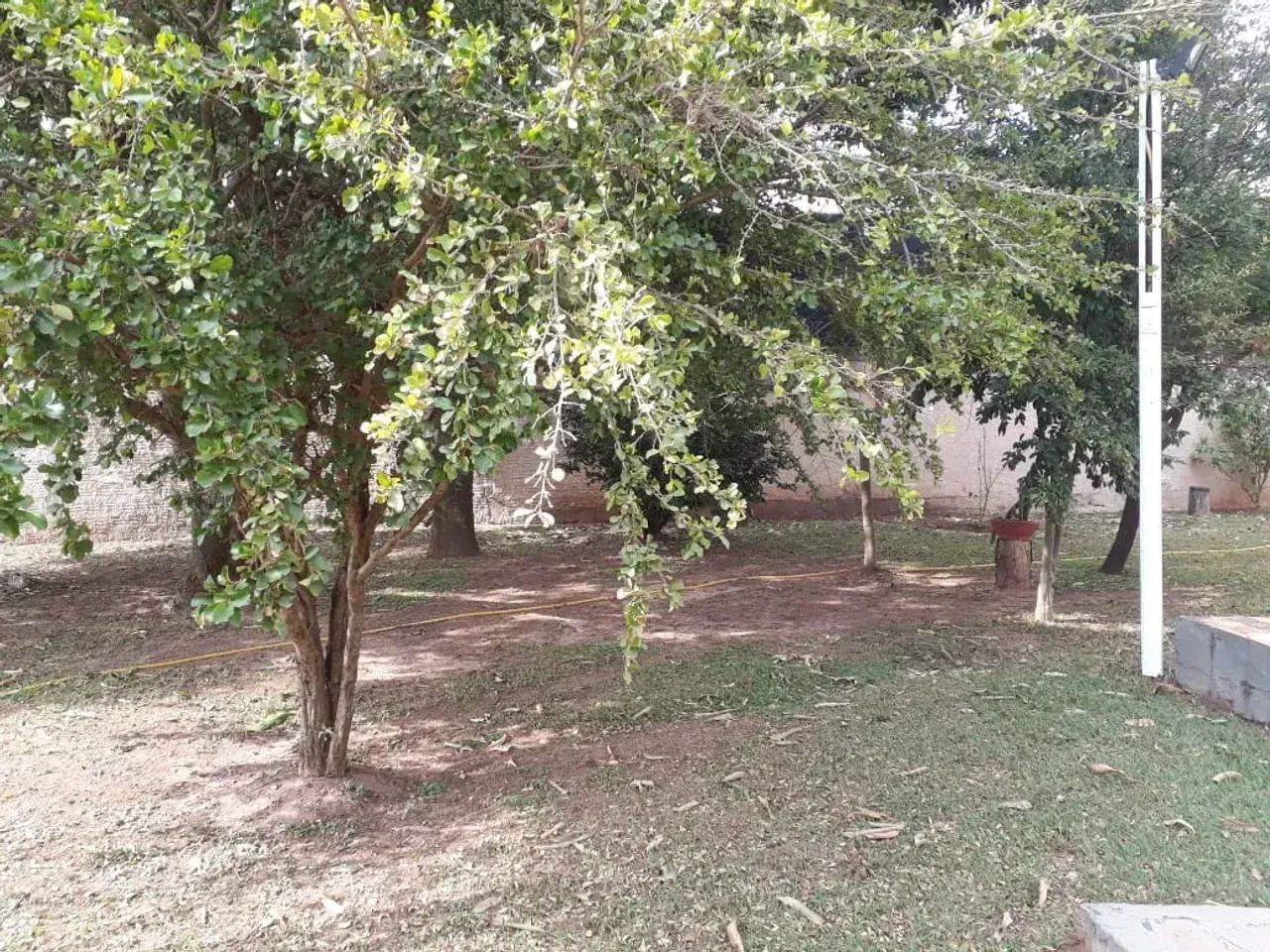 Chácara para venda São Francisco - Foto 5