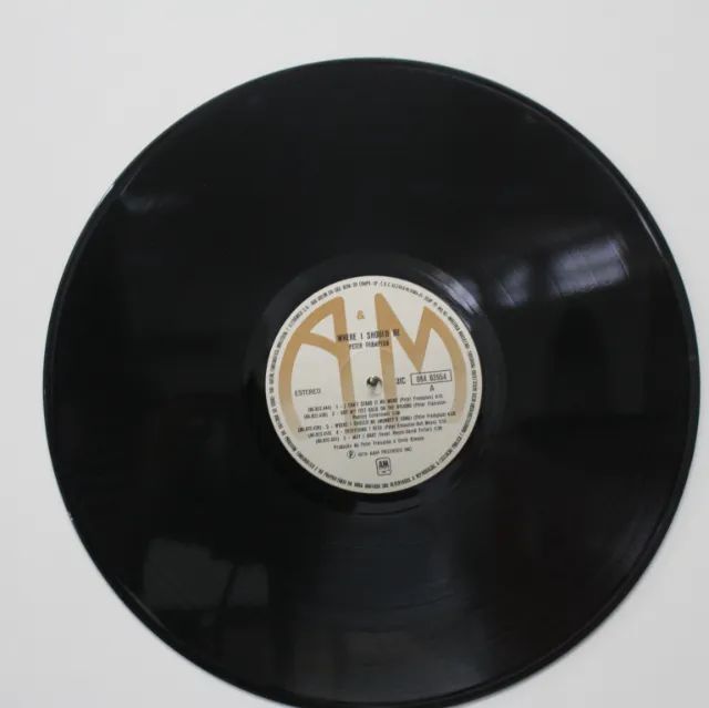 LP VINIL PETER FRAMPTON - RARIDADE - Foto 3