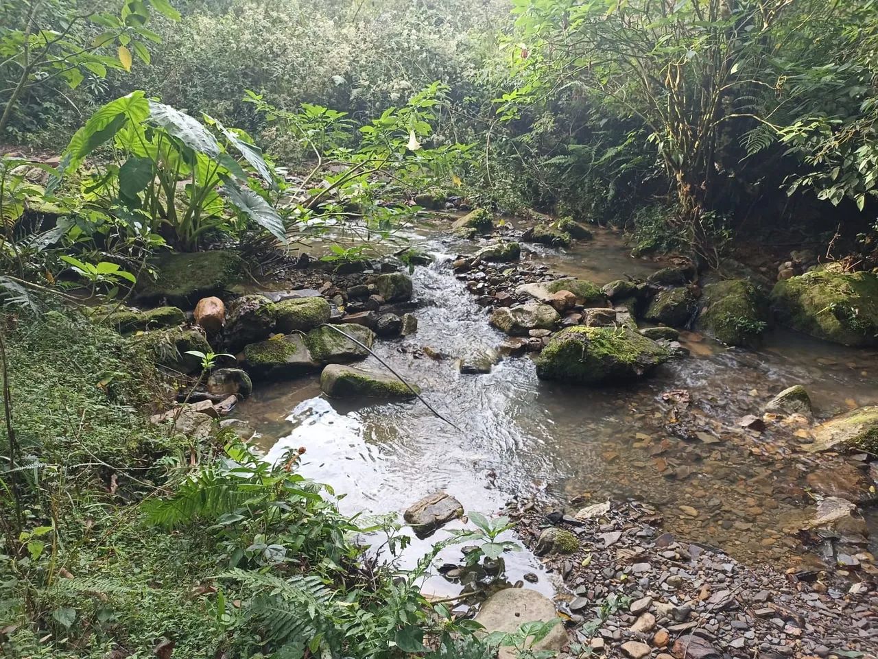 Linda chácara em Rancho Queimado  - Foto 4