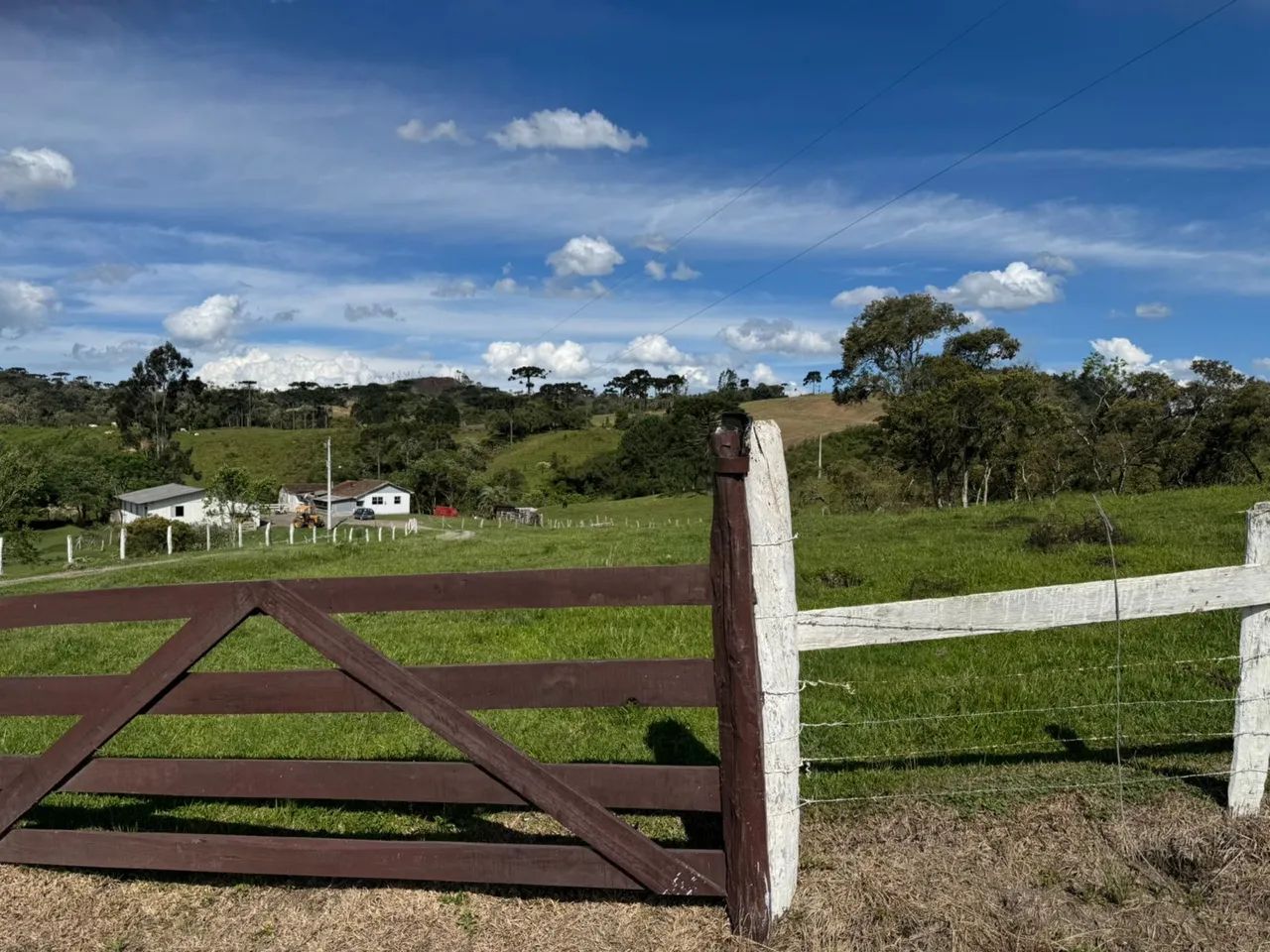 Terreno, otimo, muito bem localizado e apto para qualquer tipo de negócio  - Foto 5