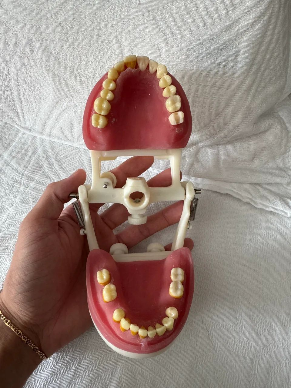 Manequim odontológico de cirurgia com dentes de periodontia Pronew - Foto 3