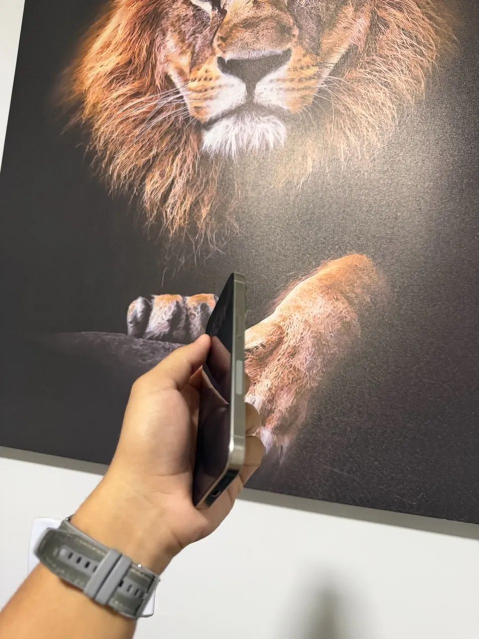 15 pro 256 gigas  - Foto 4
