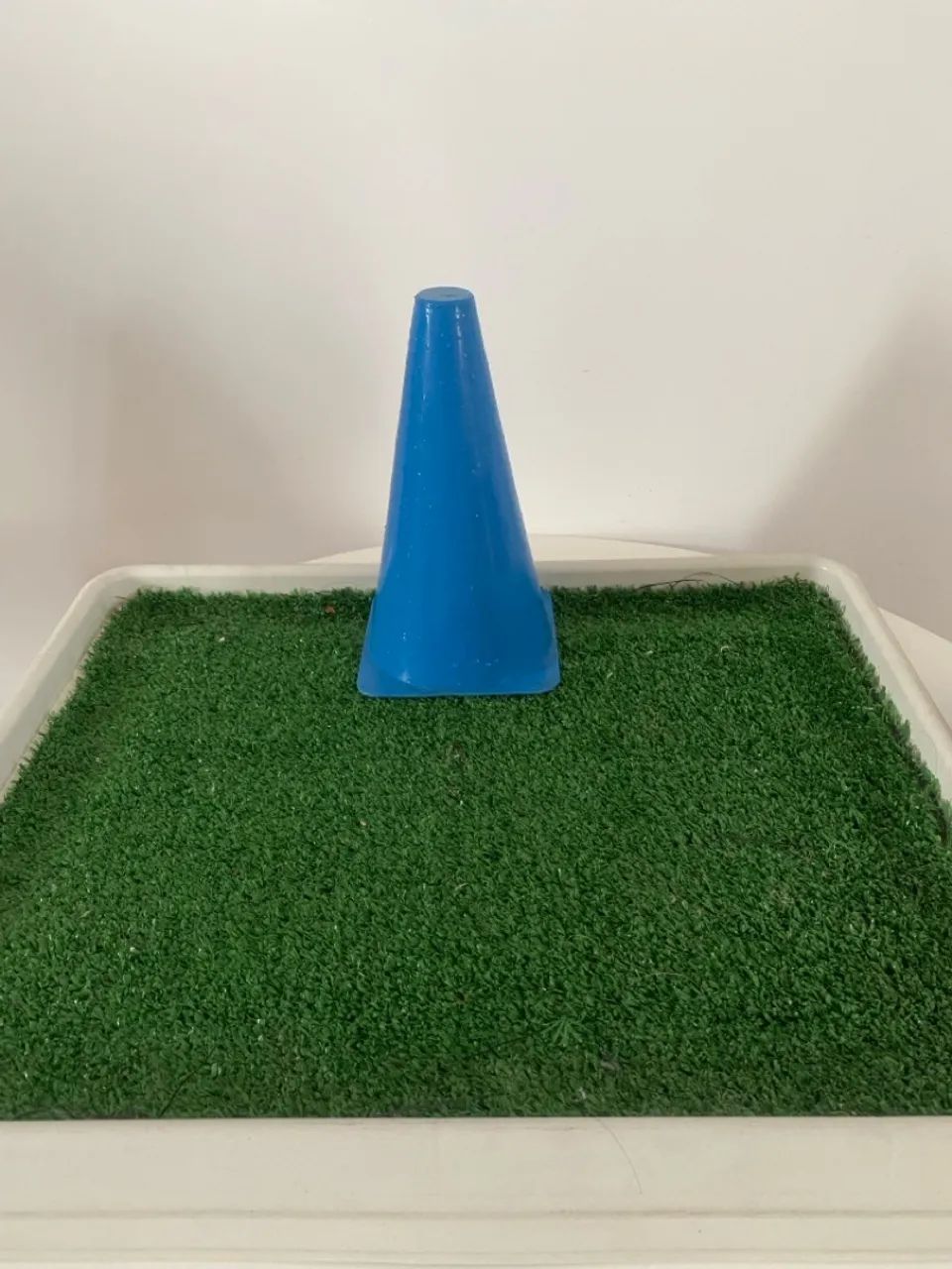 Banheiro pra Pet  - Foto 4