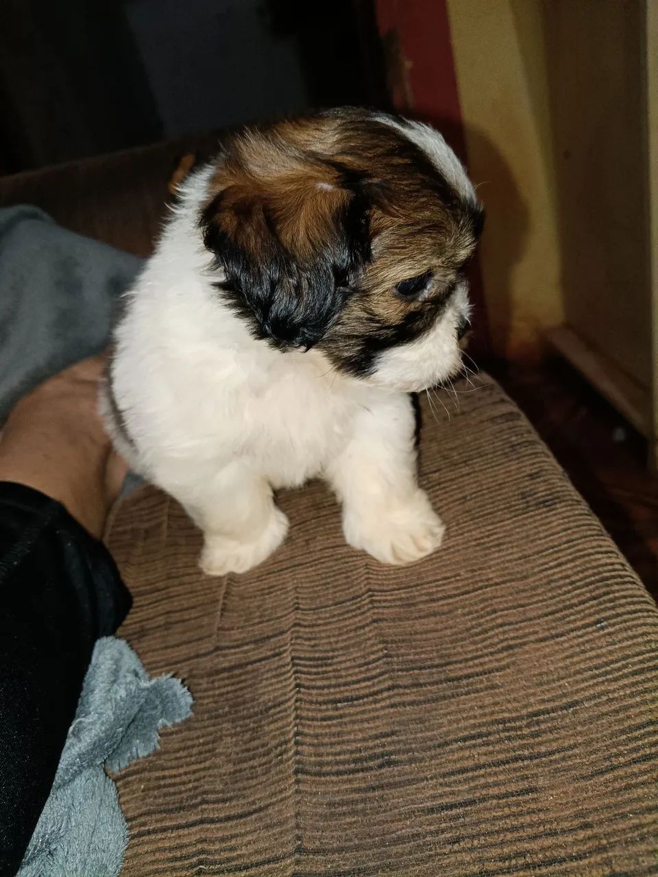 Vendo * - Foto 5