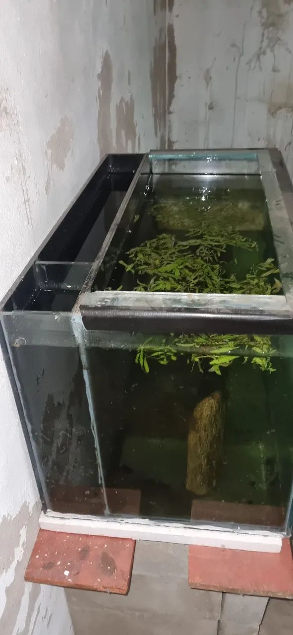 Vende se aquário 225 litros  - Foto 6