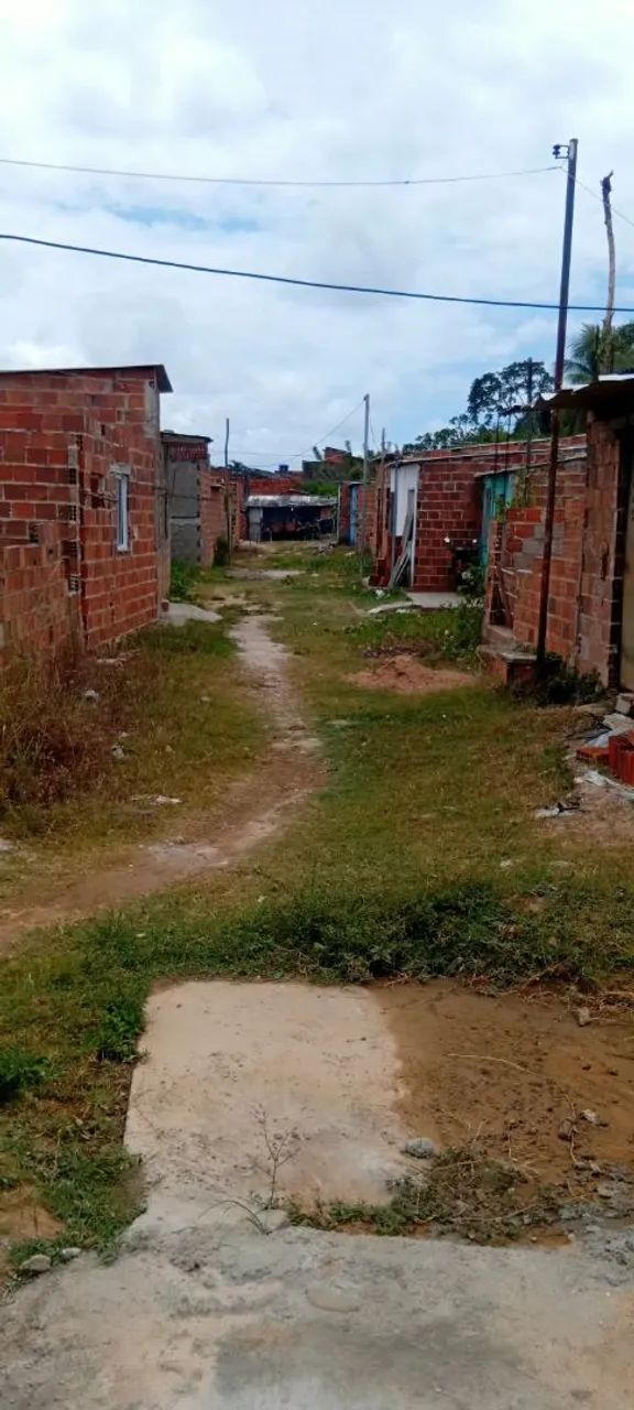 Terreno no coqueiral  - Foto 3