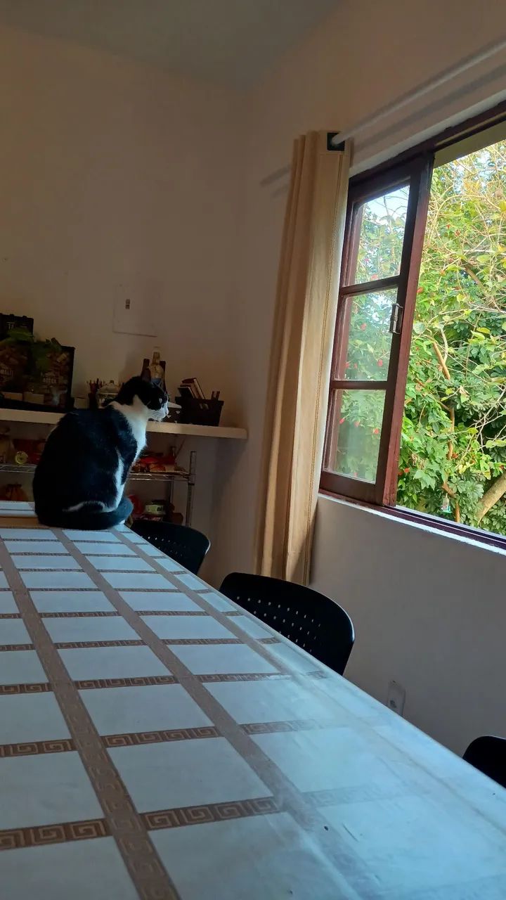 Aluguel de quarto mensal/anual  - Foto 4
