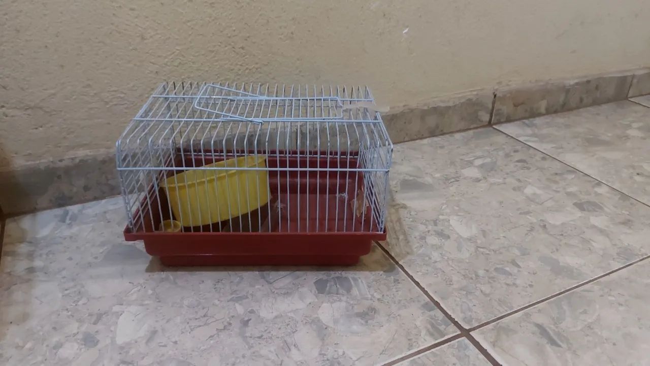 Vendo gaiolas para hamster - Foto 4