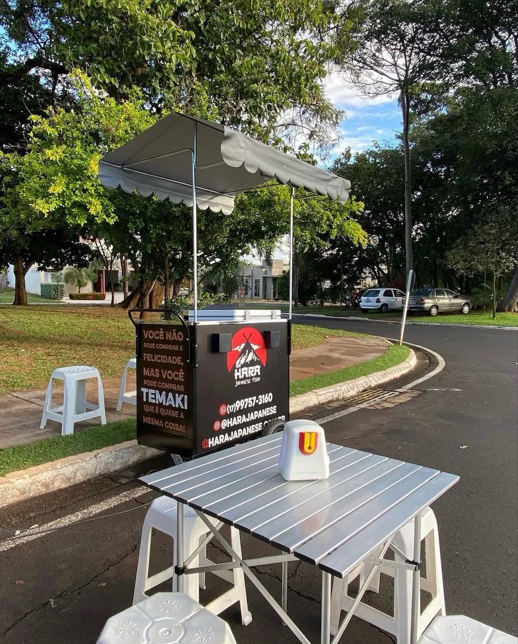Mini trailer com Freezer 