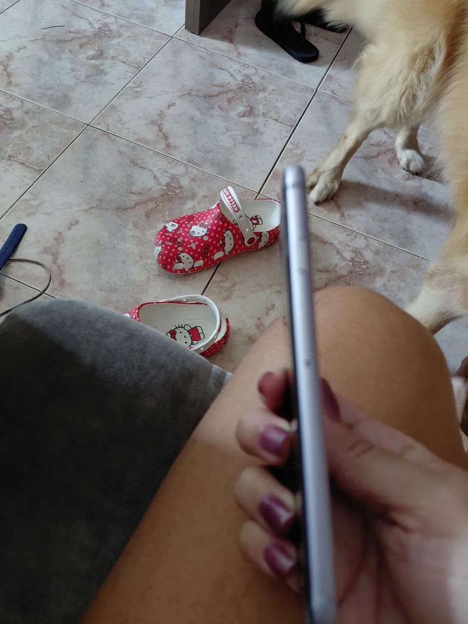 Iphone 5  - Foto 2