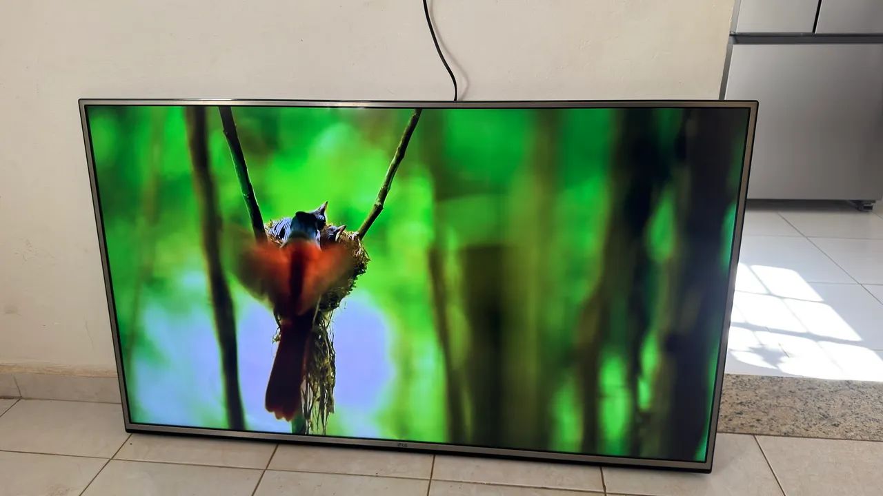 Tv LG smart 4k 55 polegadas 