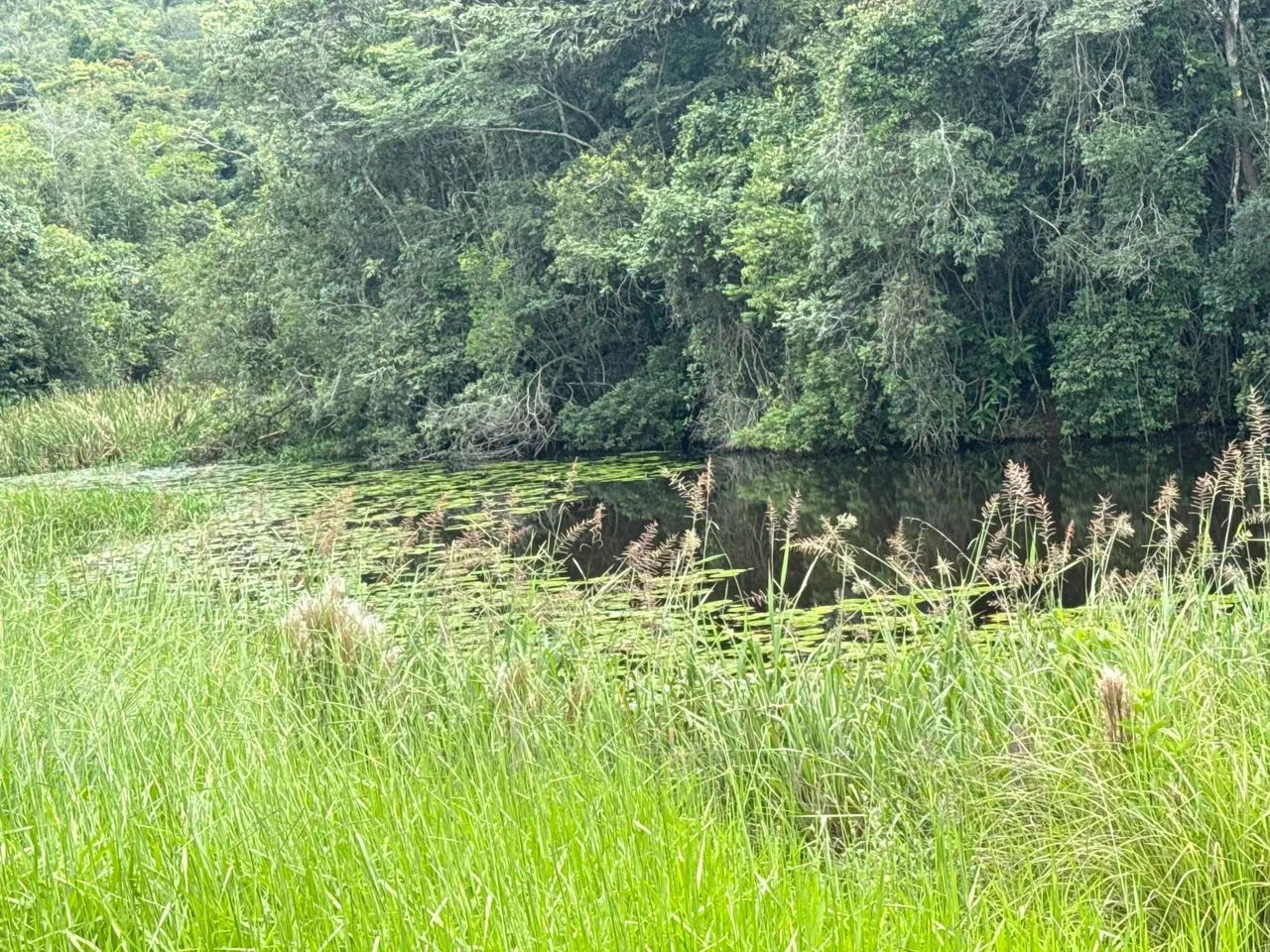 Terreno rural de 20  mil metros  - Foto 4