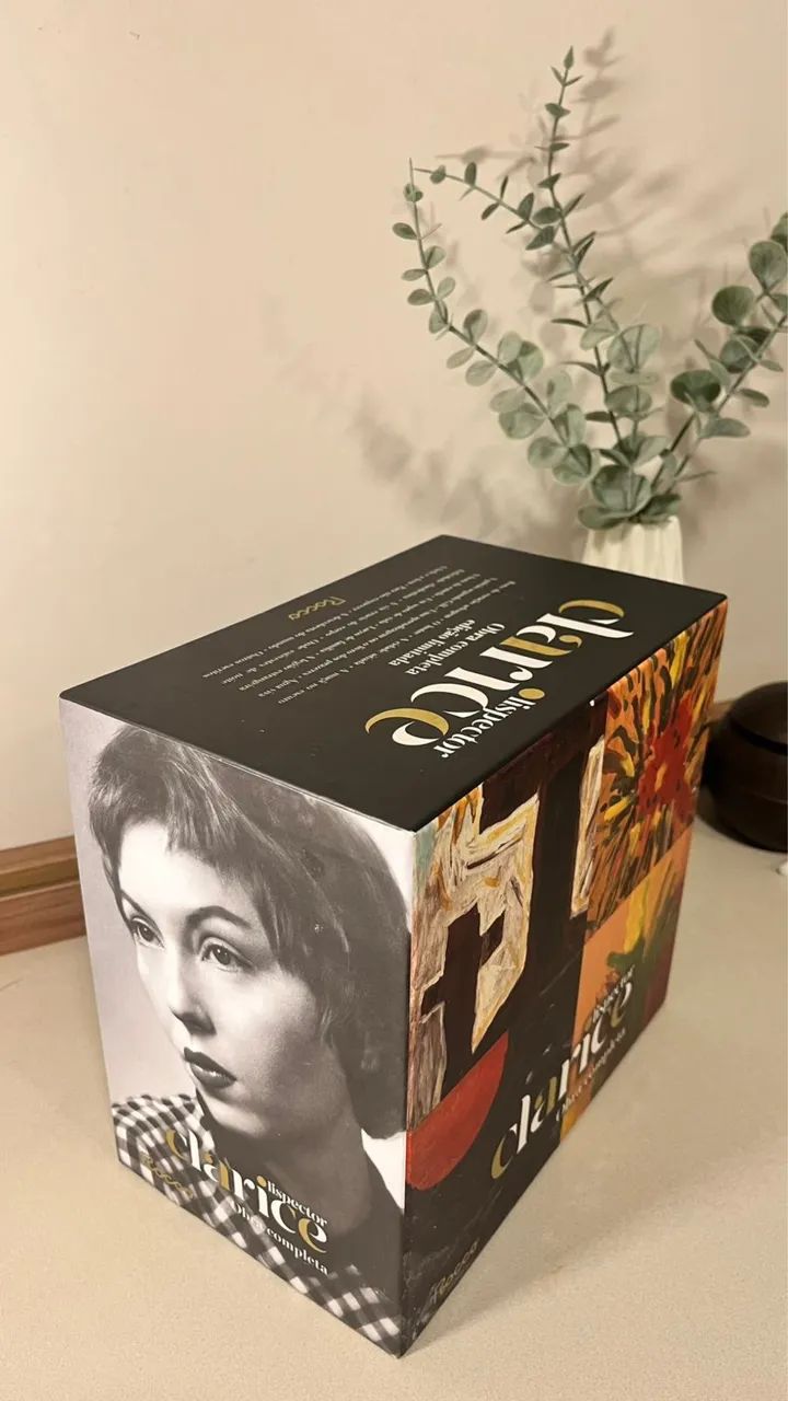 Box Clarice Lispector, obra completa (edição limitada) - Livros e