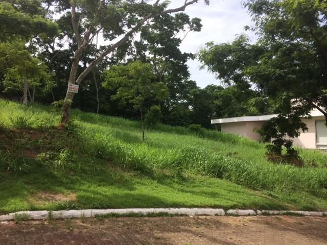 Condomínio Vale dos Ipes - Excelente Terreno (Parte Alta) - Foto 6