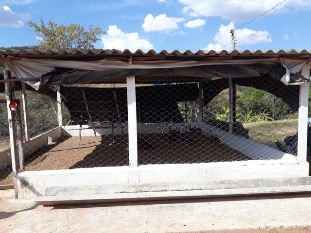 Oportunidade!! Vendo excelente fazenda em Formosa Goiás, com 168 hectares com muita água - Foto 9