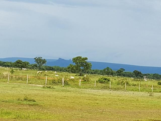 Fazenda de 34385 hectares em MT - Foto 5