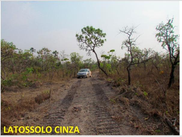 Fazenda 236 Alqueires ( 1.144 hectares) Barra do Garça-MT \ Nova xavantina - Foto 13