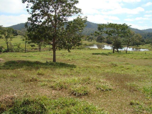 50 Alq. Beira Rio | 120 km Goiânia. (leia o anuncio) - Foto 10