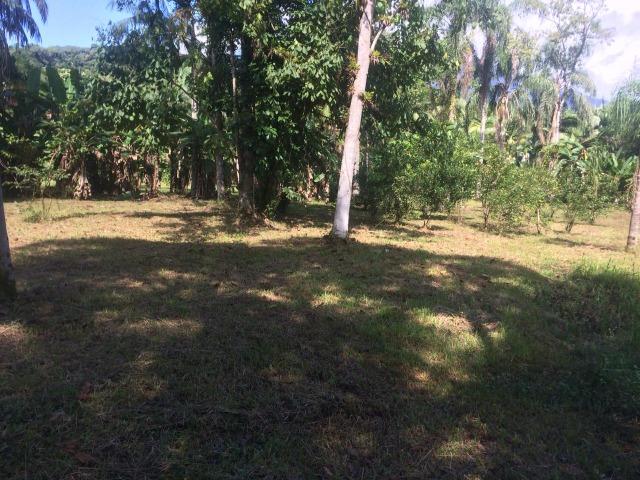 Chácara com 84.500m² - Porto de Cima - Morretes - Foto 13